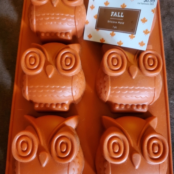 JoAnn Fabrics Other - Owl Silcon Baking Mold